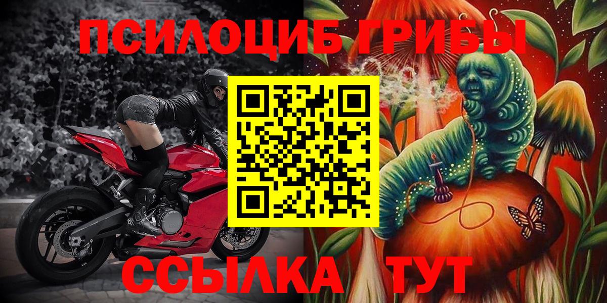 Псилоцибиновые грибы Psilocybe  Вход с VPN  Орёл 