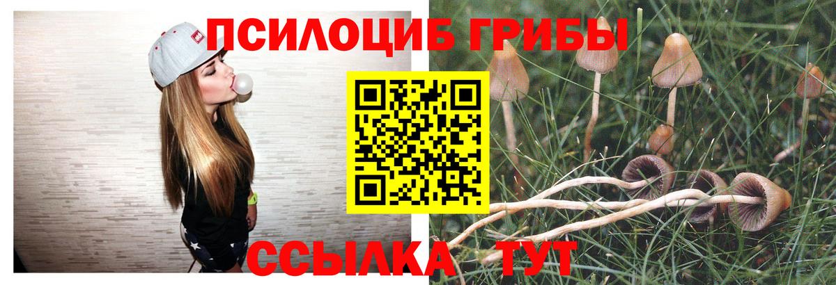 Псилоцибиновые грибы ЛСД Орёл